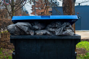dumpster rental