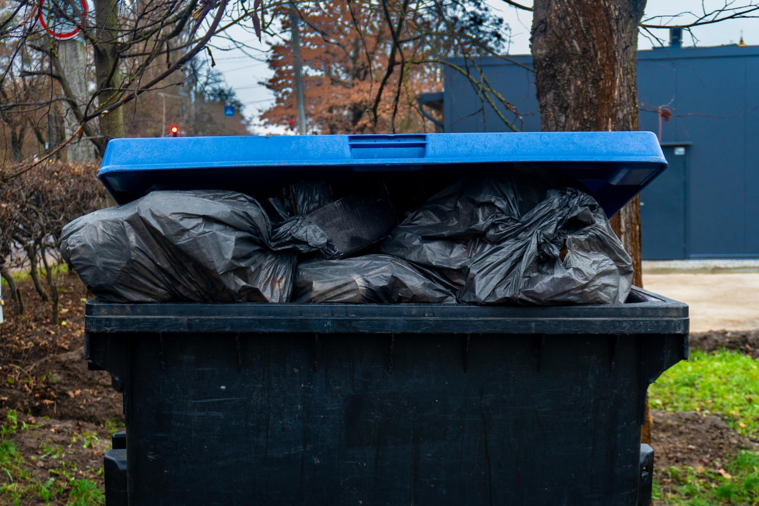 dumpster rental